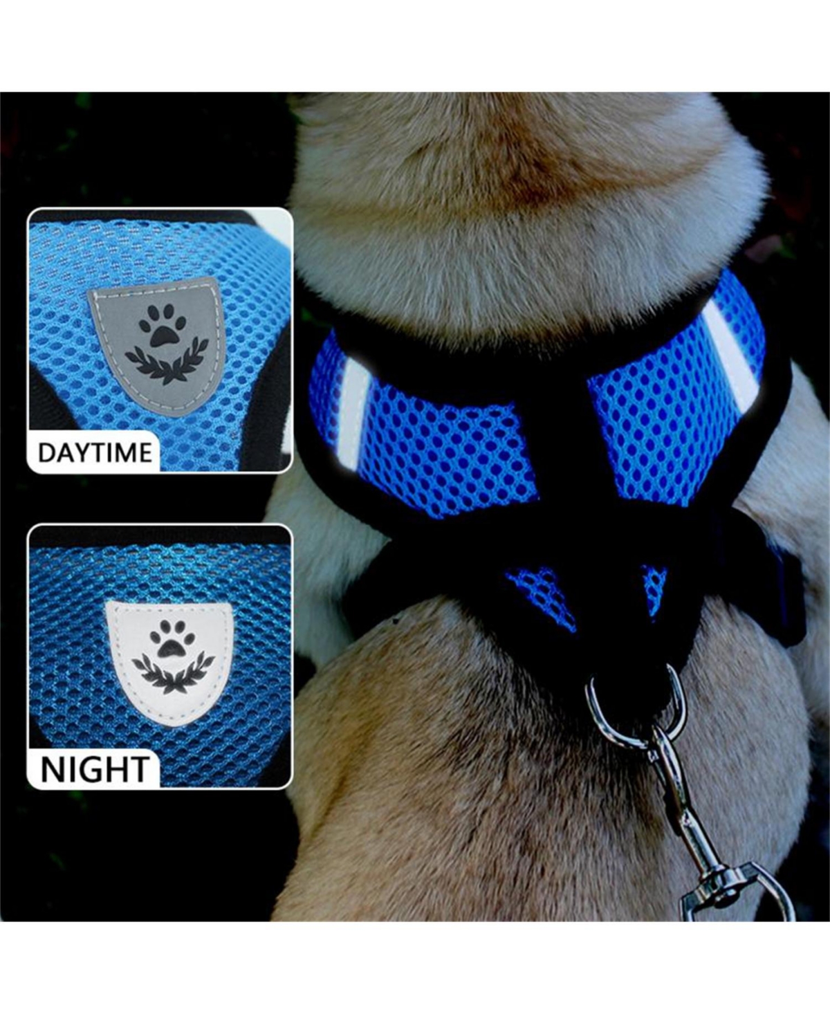 Zeus and Ruta Cat Harness with Adjustable Control Vest, Reflective Straps,and Matching Leash