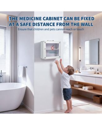 Lockable Medicine Cabinet with Clear Door and Handle, Wall Mount or Carry Storage Box for Bathroom and Home Use