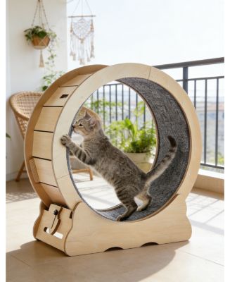 Zeus and Ruta Large Cat Exercise Wheel Treadmill for Indoor Cats