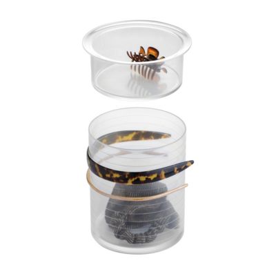iDesign Hair Accessories Organizer Canister