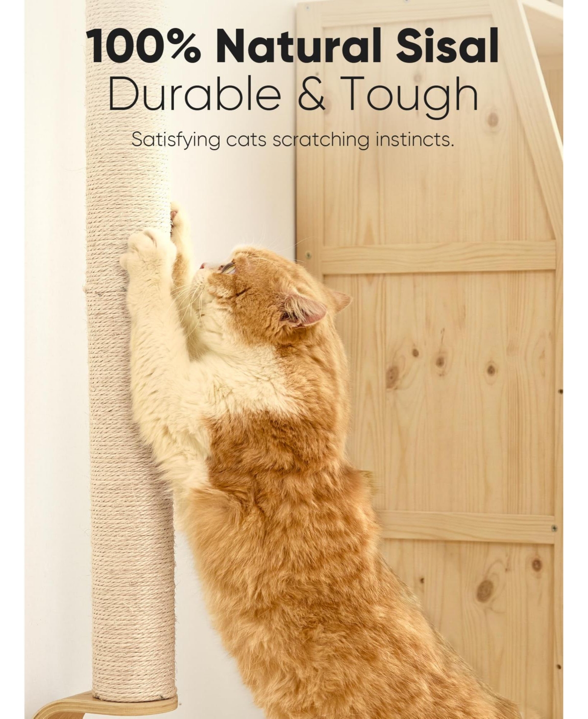 Aronkl Cat Wall Scratcher 60" Tall Mounted Kitten Sturdy Sisal Climbing Tree For Indoor Large Cats