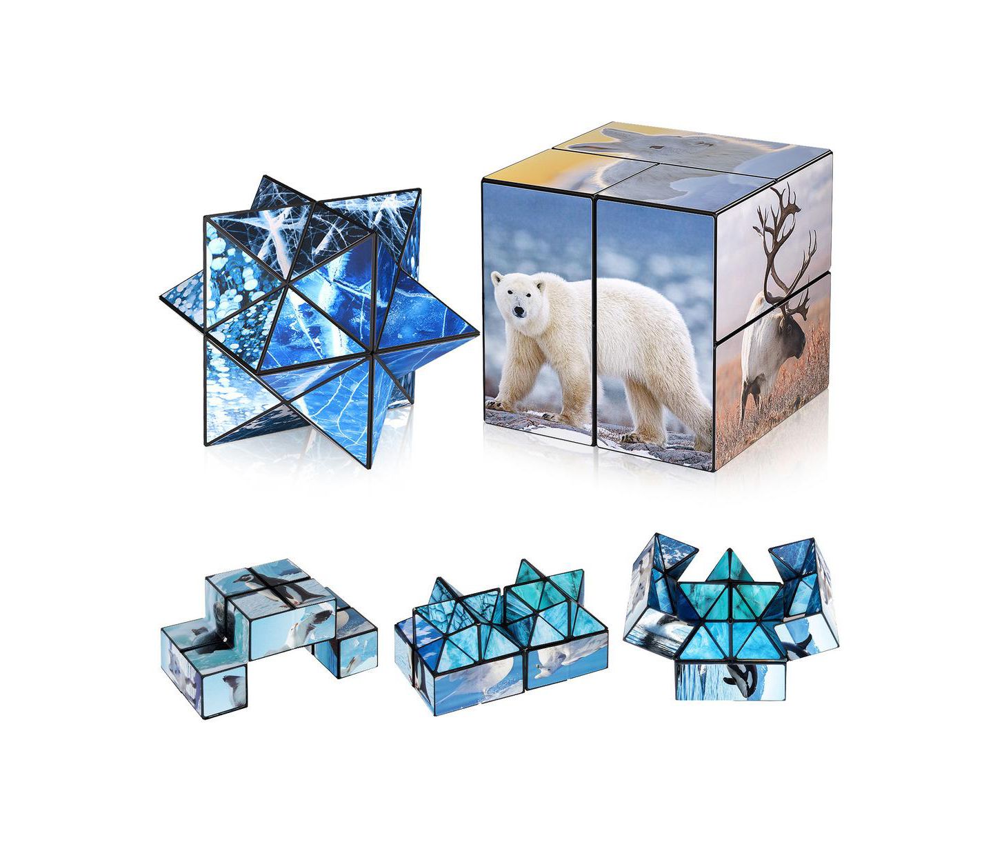 Детская игрушка Bruce & Shark 2-in-1 North and South Poles Fidget Cube - Folds into Star, Cube & Rectangle — фото 4