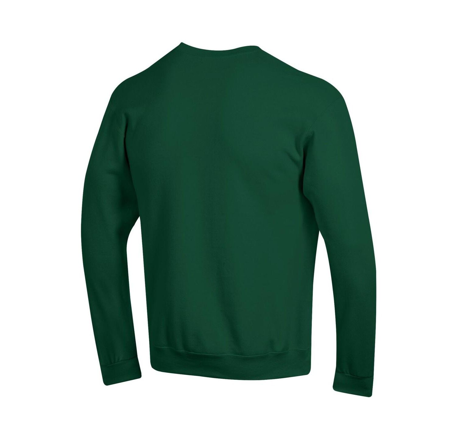 Men's Green Tulane Green Wave Arch Over Logo Pullover Sweatshirt