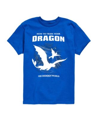How to Train Your Dragon Boys' Toddler 2T-5 Short-Sleeve T-Shirt - Royal Blue