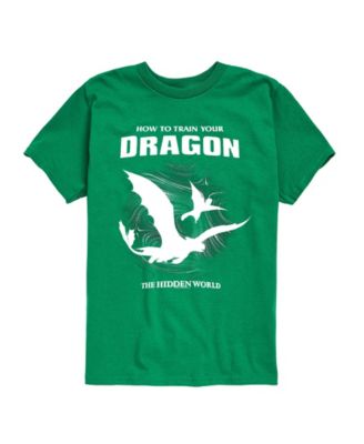 How to Train Your Dragon Boys' Toddler 2T-5 Short-Sleeve T-Shirt - Green
