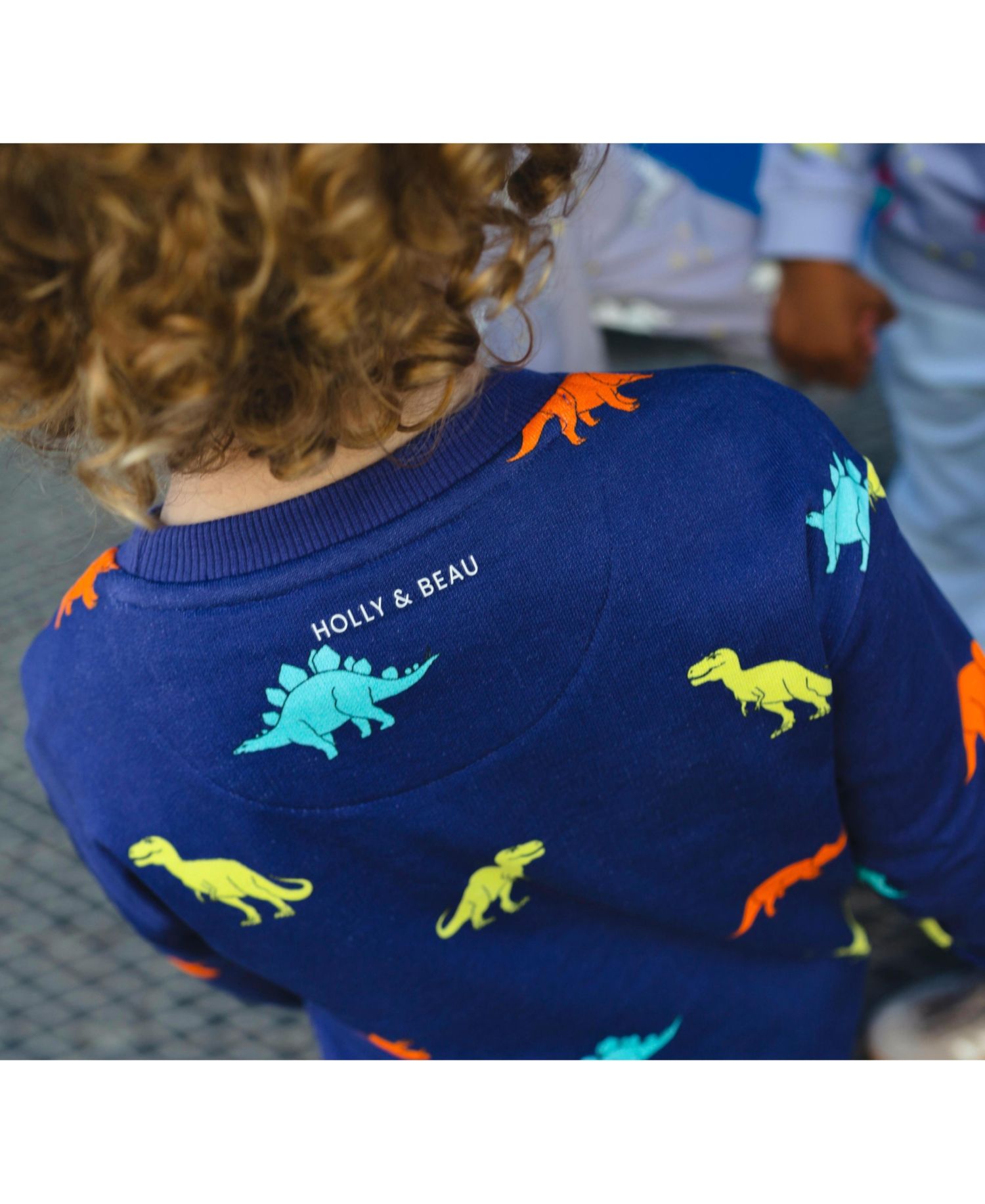 Little Boys Dinosaur Cotton Crew Neck Sweatshirt