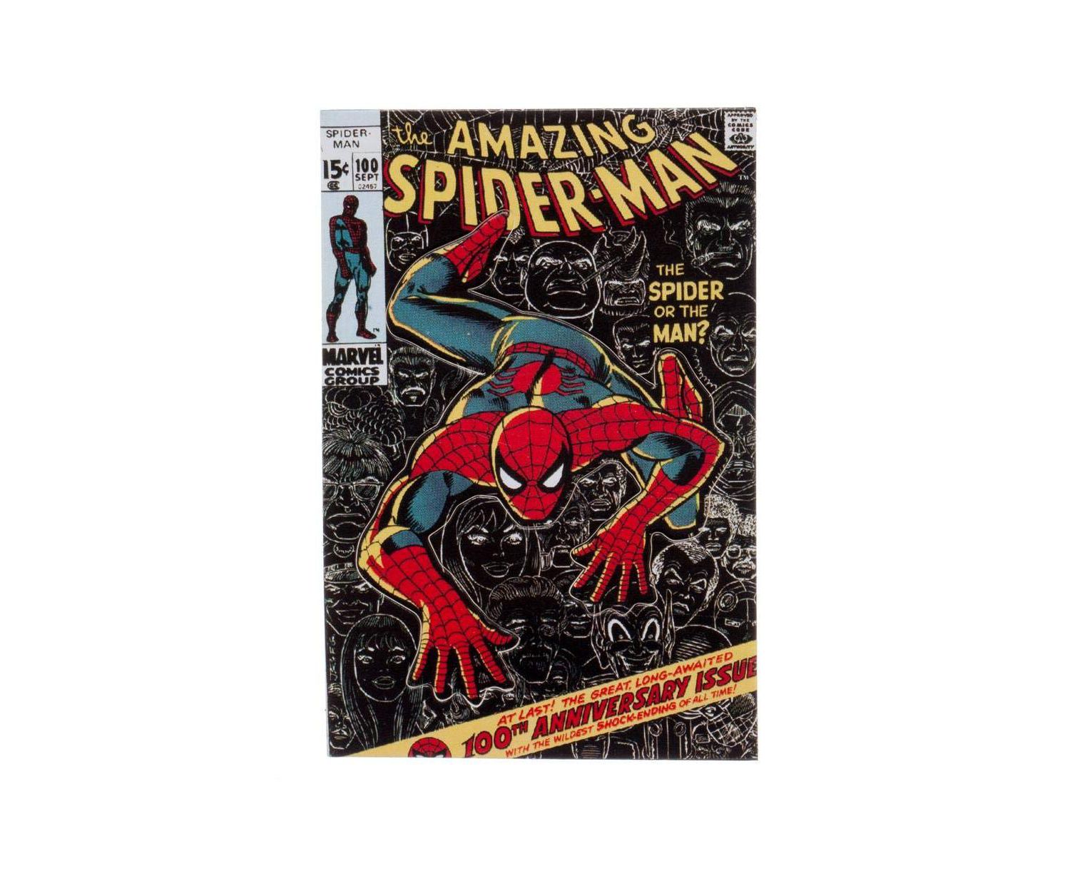 Wall Crawler 22" Lanyard With ID Sleeve