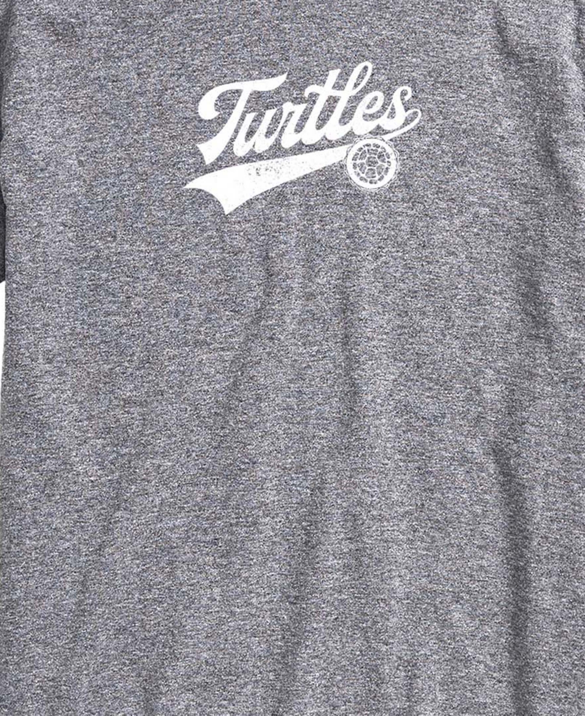 Airwaves Men's Turtles Americana 84 Short-Sleeve Graphic T-Shirt