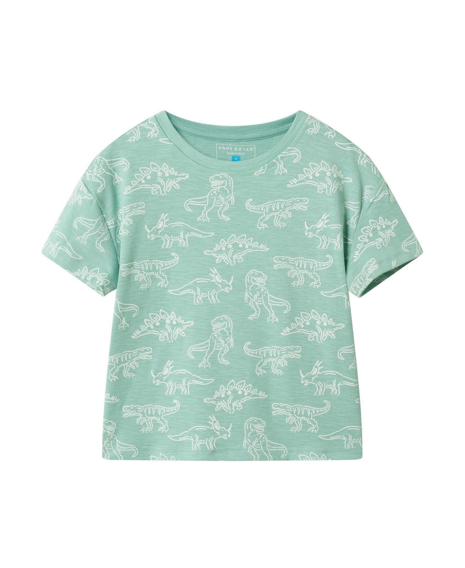 Andy and Evan Little Boys 5-6 Allover Dino Graphic Tee