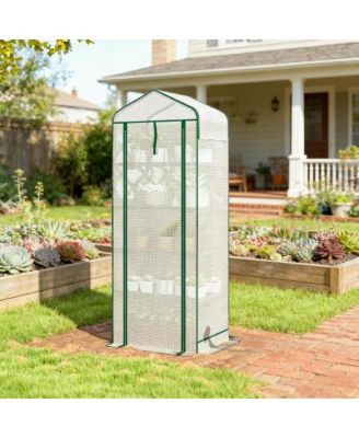 PE Cover Steel Mini Greenhouse for Outdoor Garden