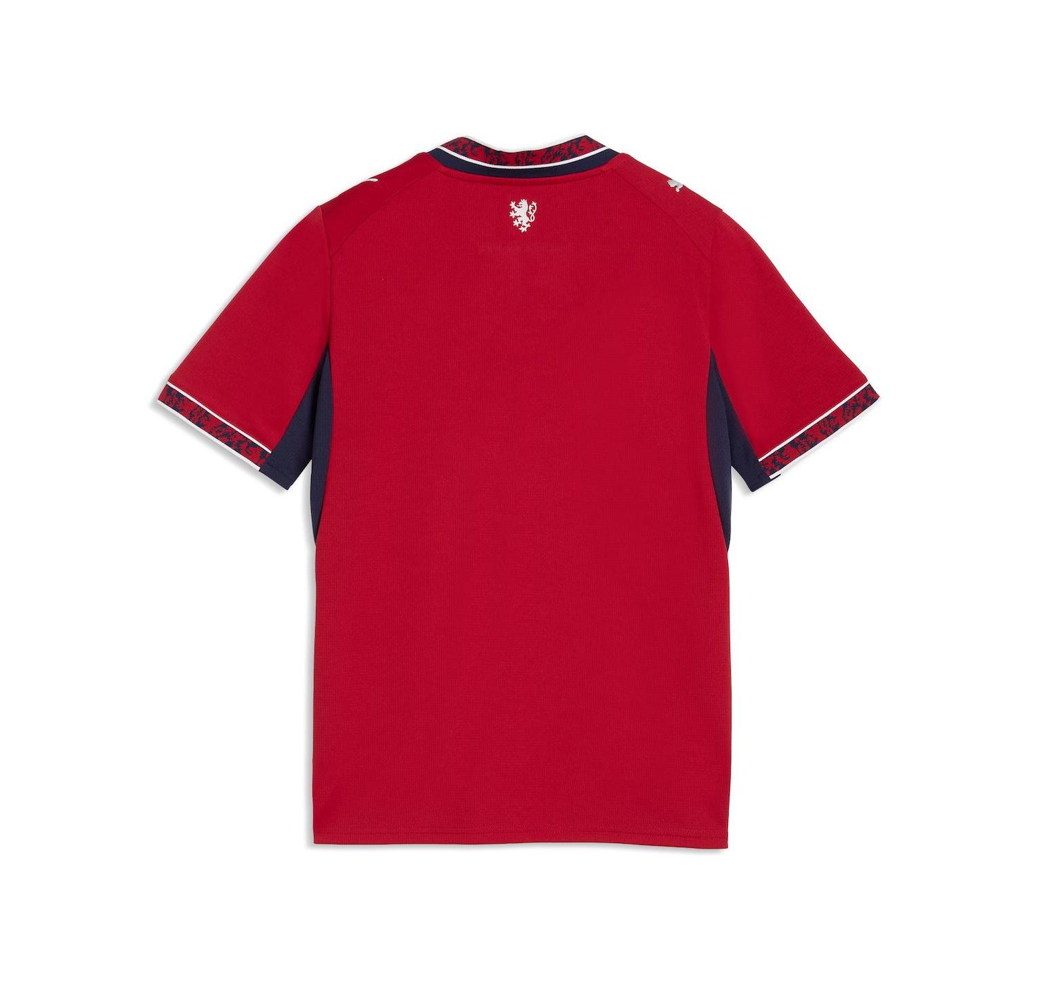 Big Boys and Girls Red Czech Republic National Team 2026 Home Replica Jersey