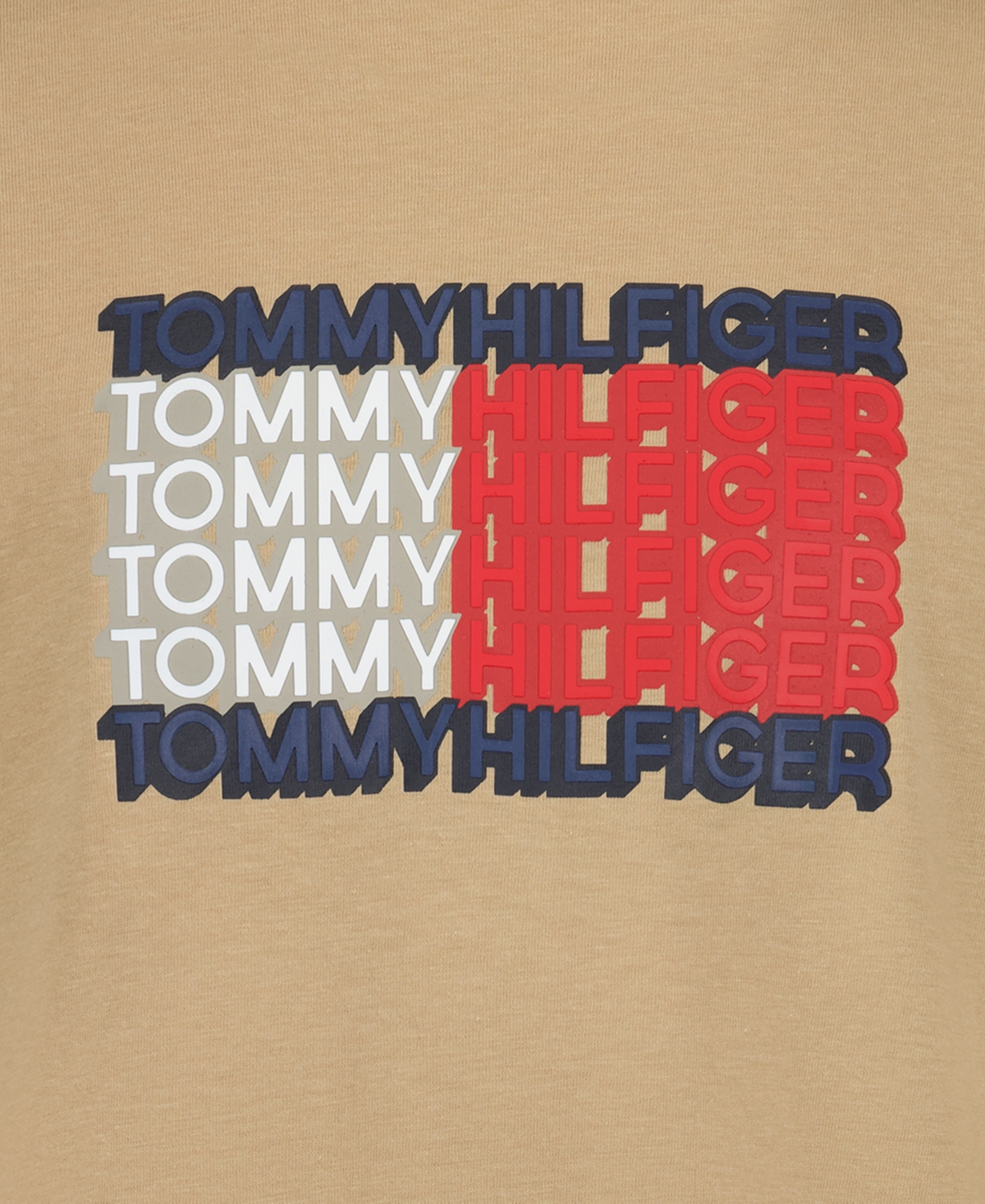 Tommy Hilfiger Boys' 8-20 3D Logo Flag Graphic Short-Sleeve T-Shirt