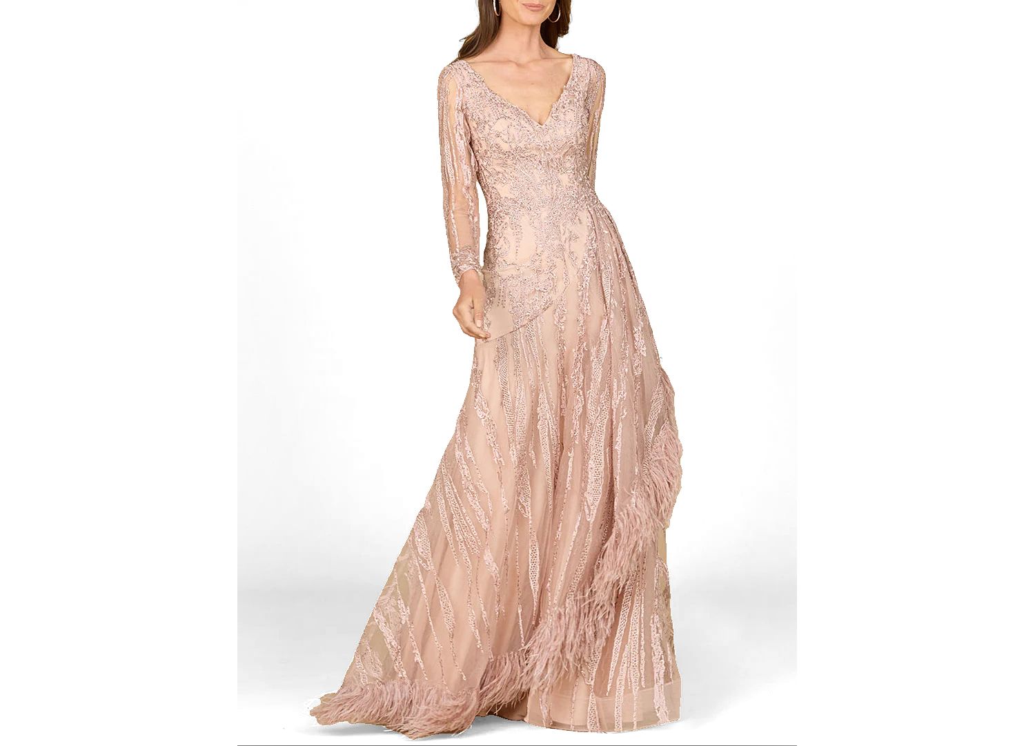 Women's Long Sleeve V-Neck Lace Gown with Feathers