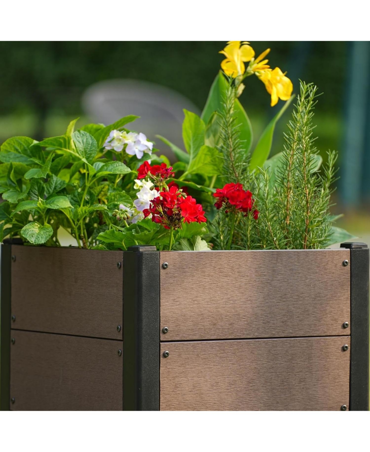 Xo Wood Raised Garden Bed , Outdoor Planter Box with Bottom, Elevated Garden Bed for Vegetables, Flowers, Patio