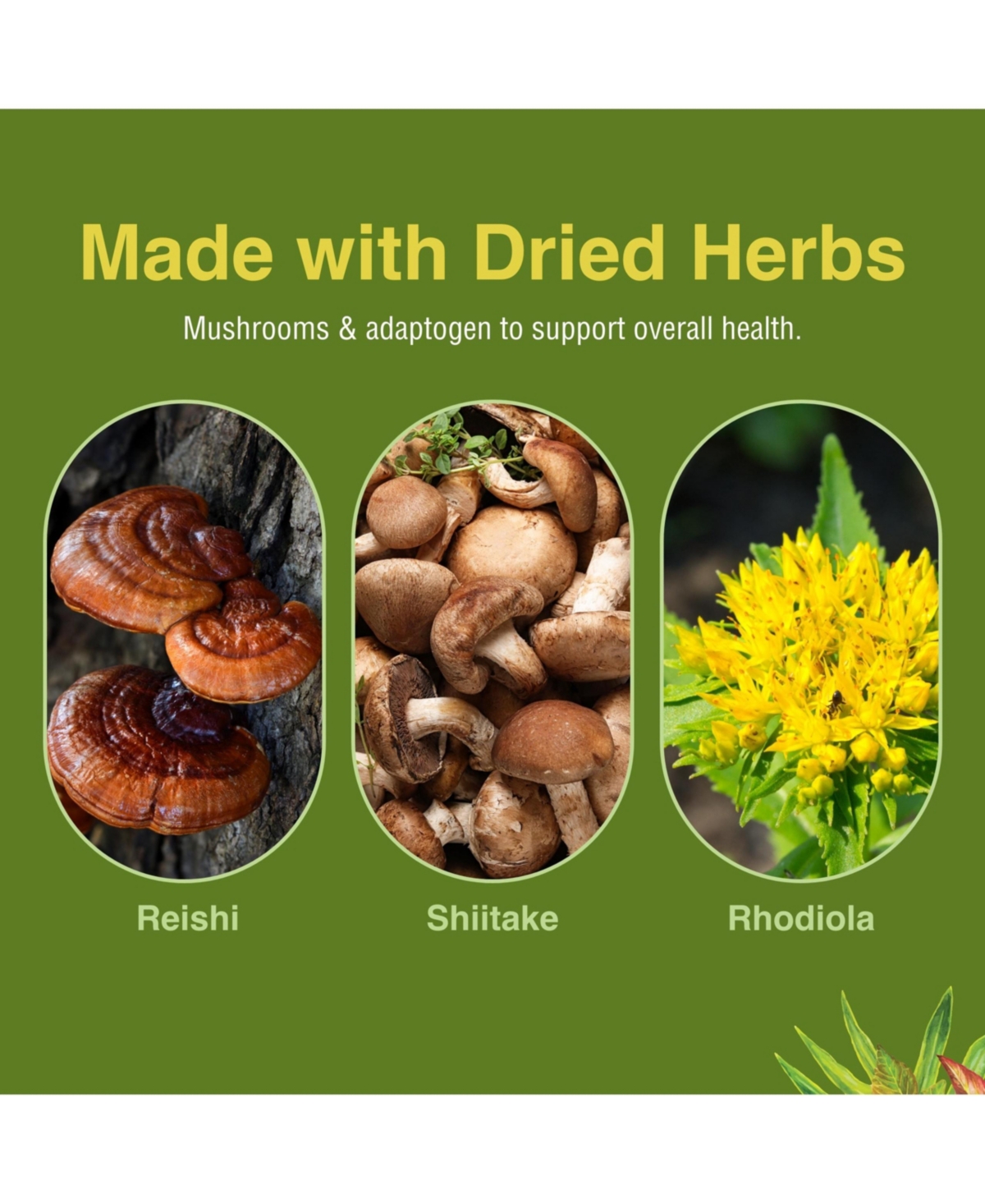 Deep Health 120 Ct. Herbs Etc