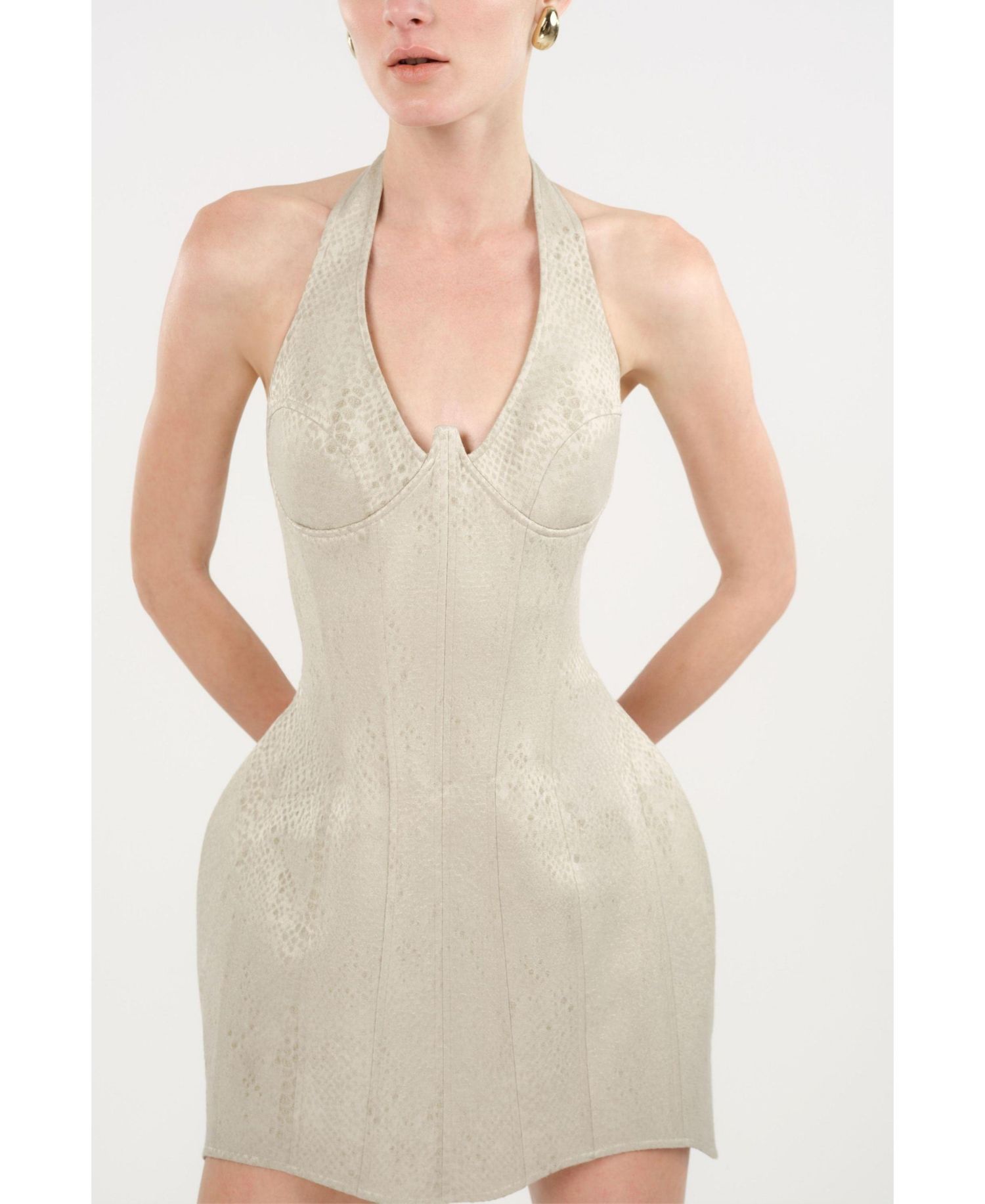 Women's Snake-Print Boned Mini Corset Dress