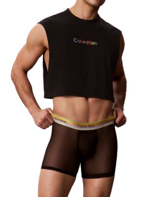 Men's Pride Mesh Boxer Brief, 1-Pack