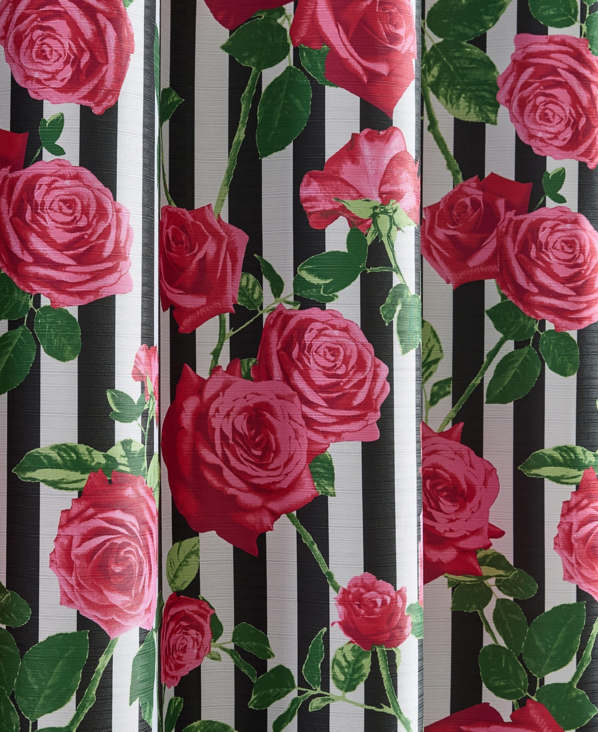 Betsey Johnson Avantgarde Rose Printed Shower Curtain, 72" x 72"