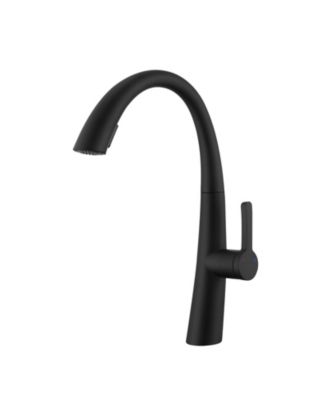 Stainless Steel Pull Out Kitchen Faucet