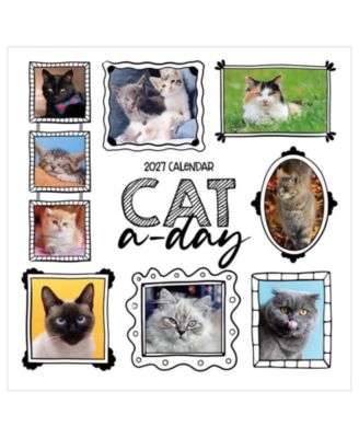 2027 Cat-A-Day Wall Calendar