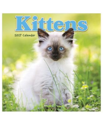 2027 Kittens Mini Calendar
