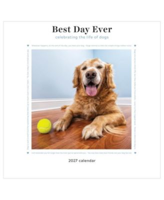 2027 Best Day Ever Celebrating The Life of Dogs Wall Calendar