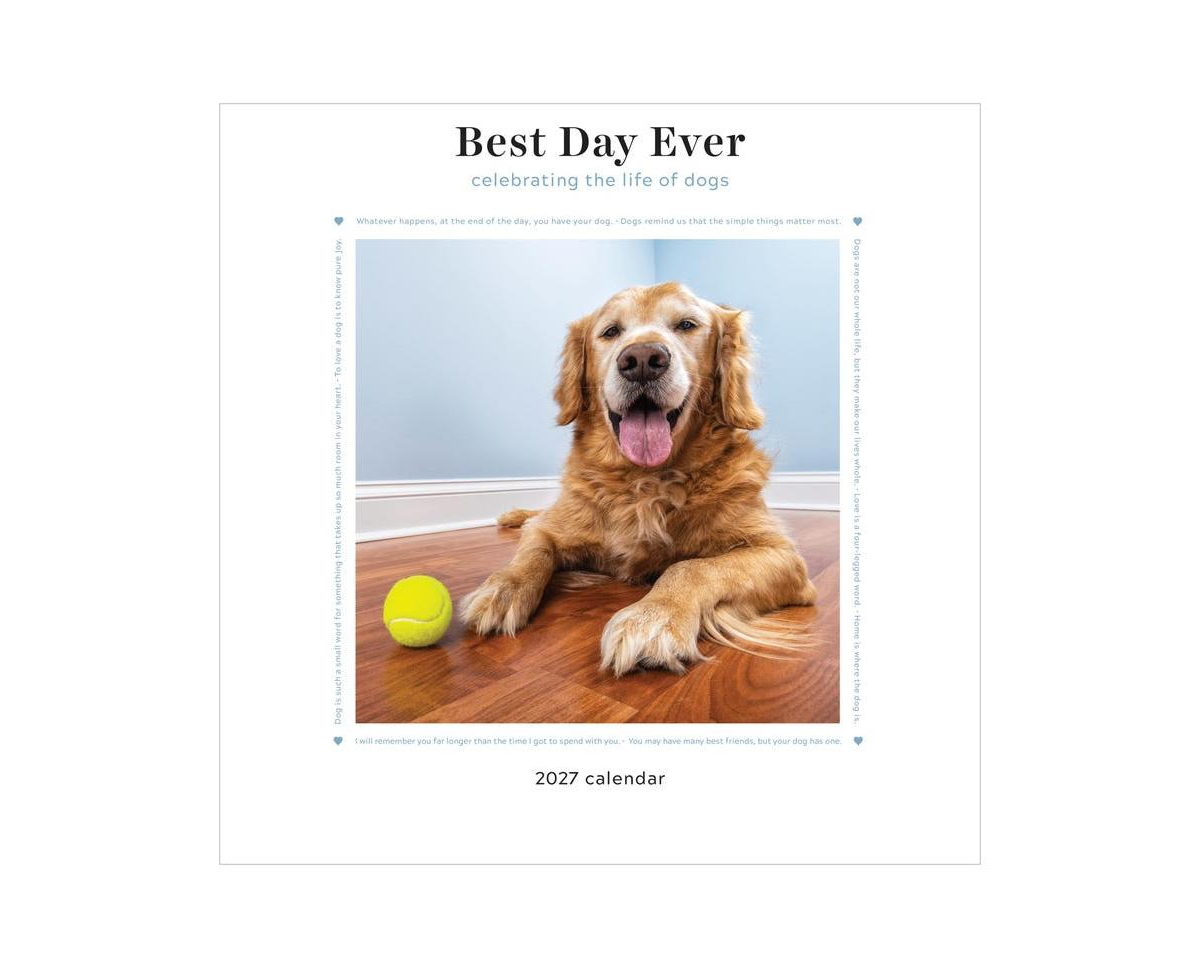 Tf Publishing Paper Goods 2027 Best Day Ever Celebrating The Life of Dogs Wall Calendar