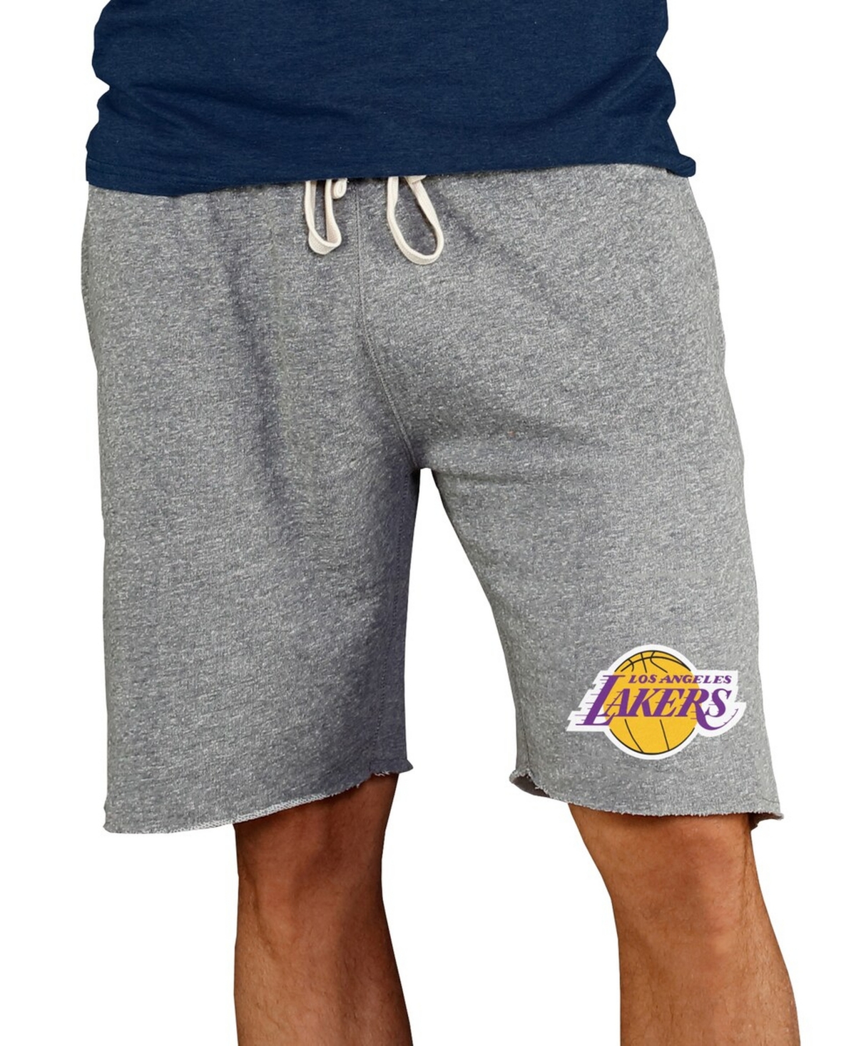 Concepts Sport Men's Gray Los Angeles Lakers Mainstream Terry Shorts
