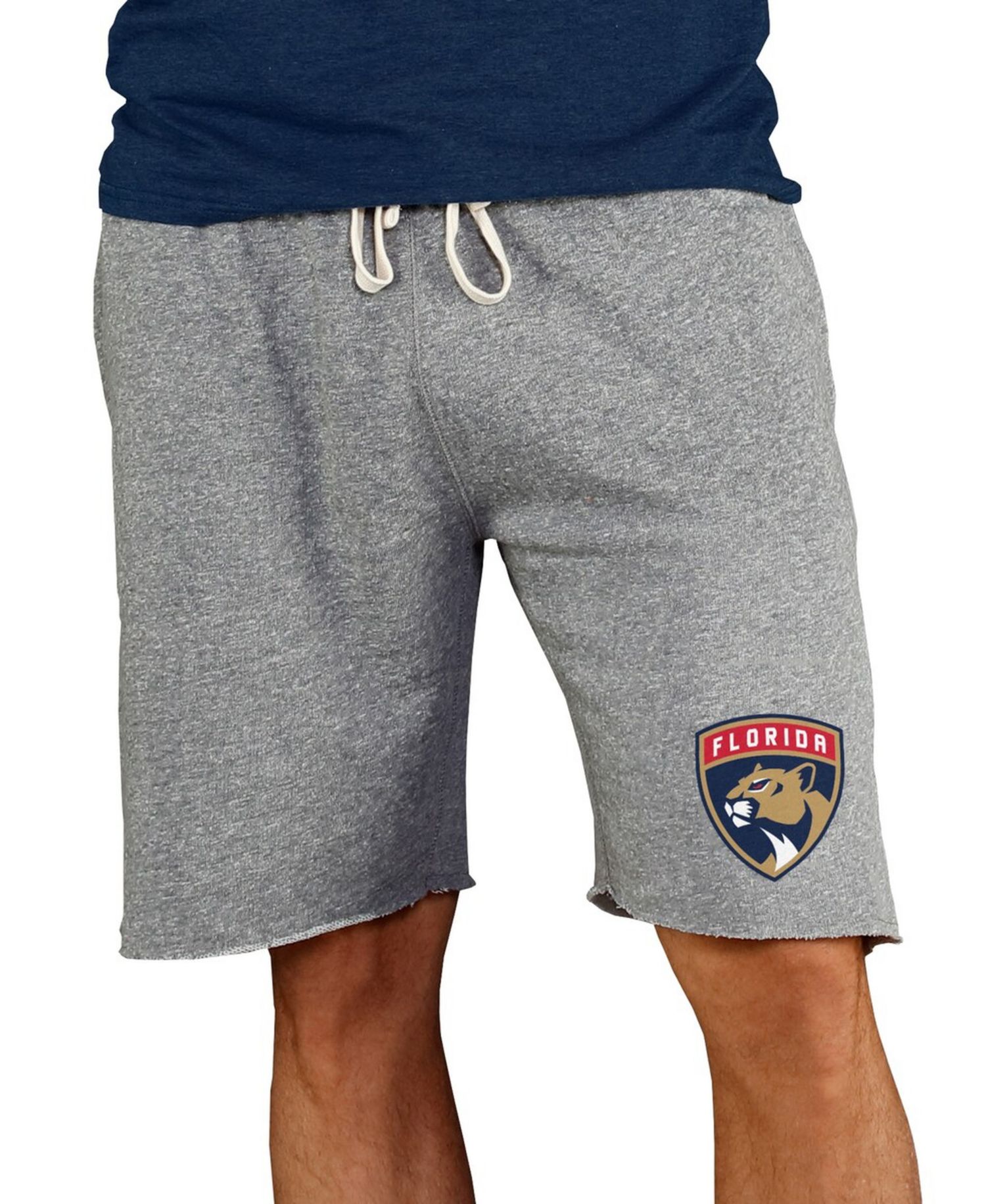 Men's Gray Florida Panthers Mainstream Terry Shorts