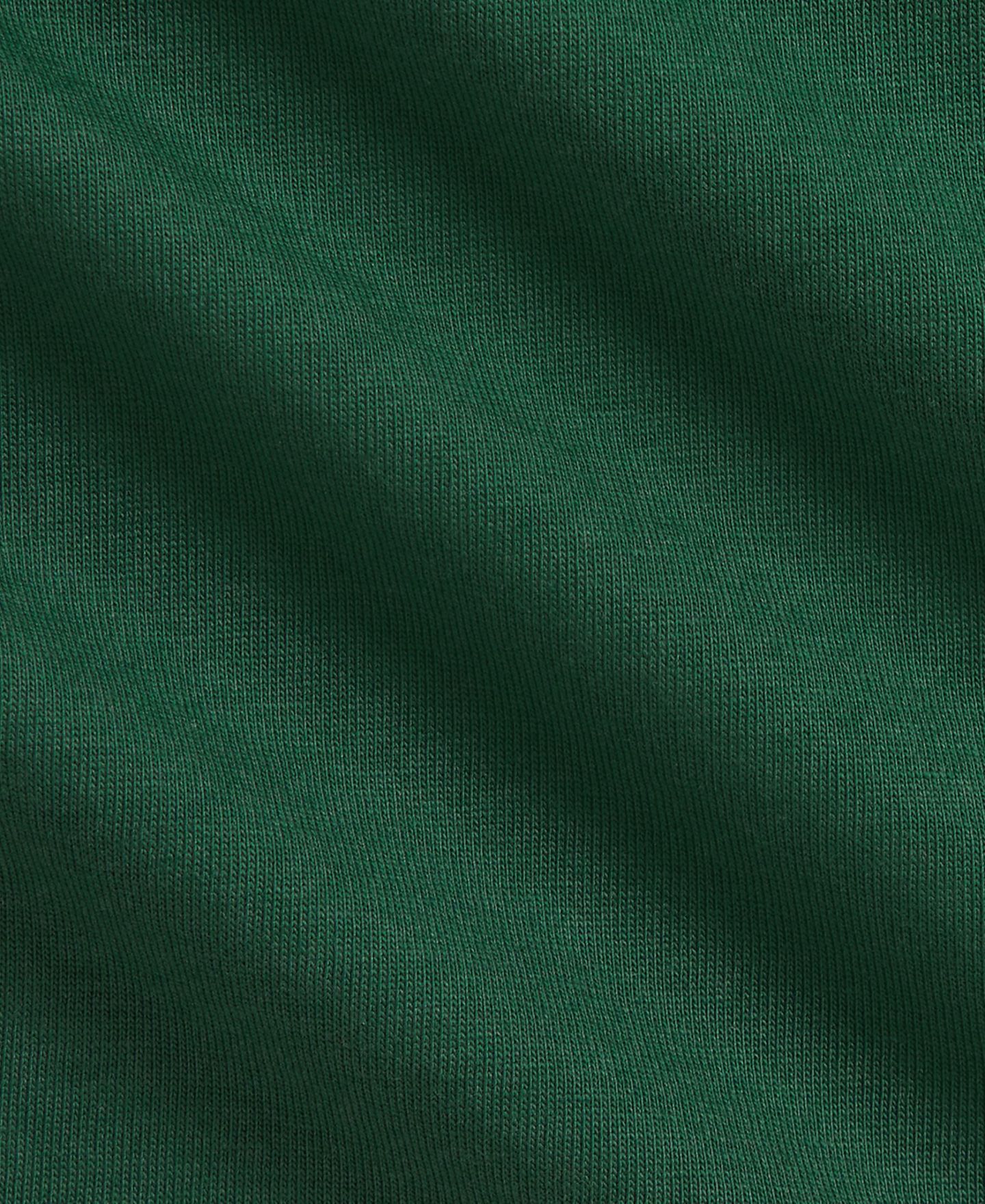 Футболки Polo Ralph Lauren Cotton Jersey Long-Sleeve T-Shirts для мальчиков-малышей, цвет: Зелёный — фото 4