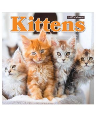 2027 Kittens Wall Calendar