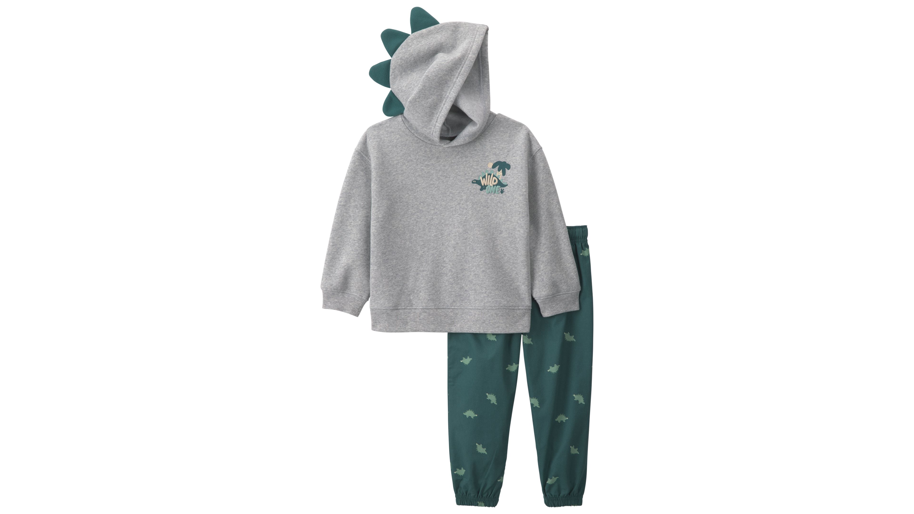 Carters Baby Toddler Boys Dinosaur Long Sleeve Hooded Sweatshirt Pants 2 Piece Set