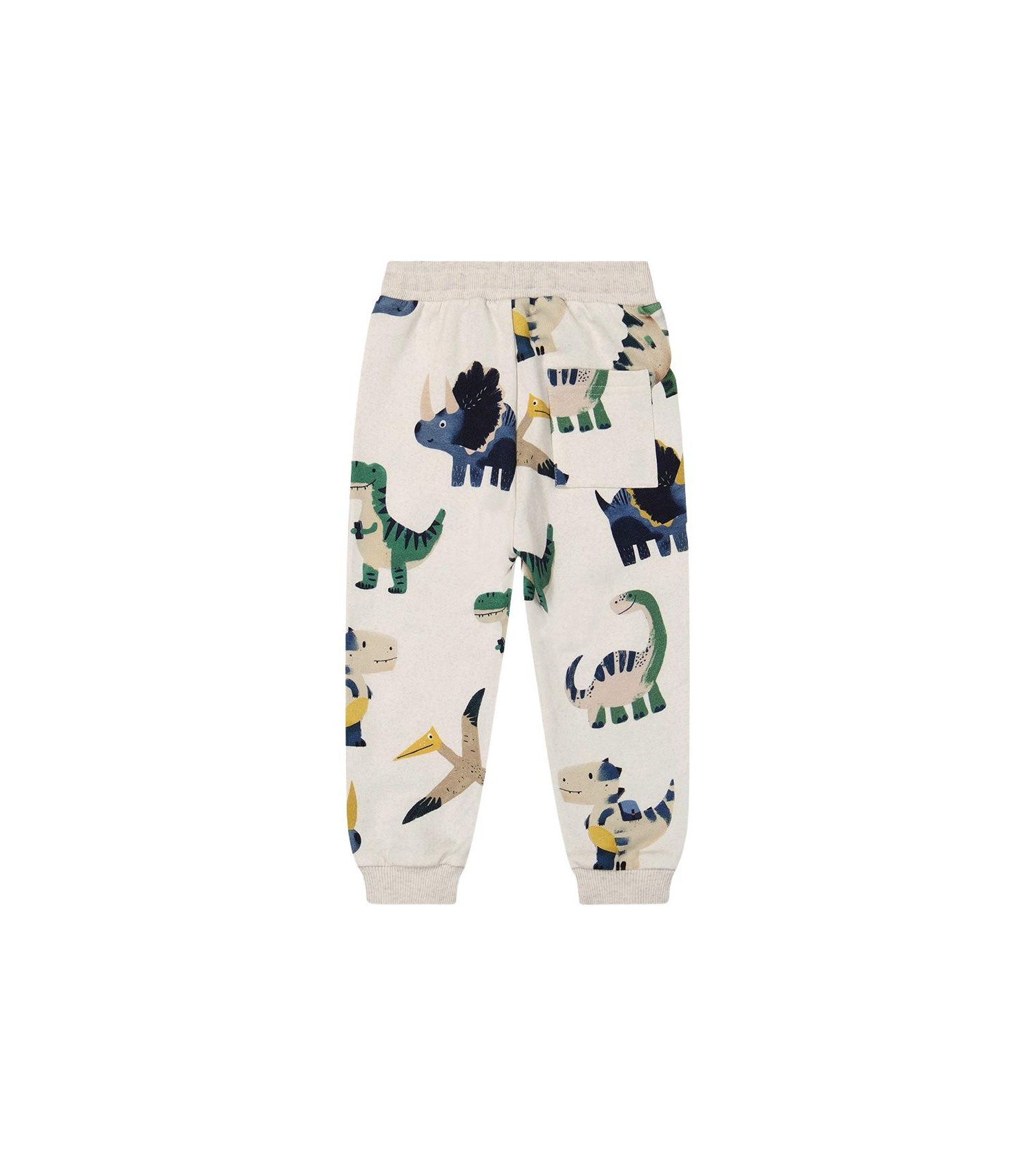 Baby Boy 12M-24M Fleece Sweatpants Dinosaur Print