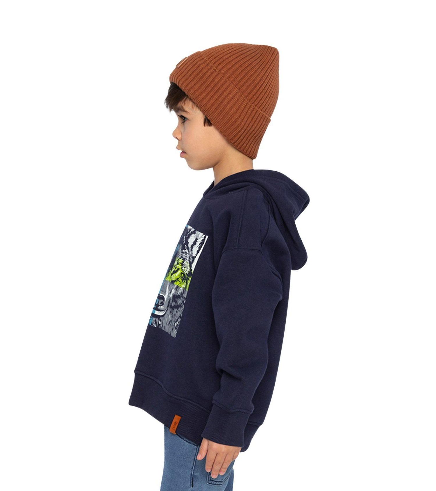 Little and Big Boy Fleece Hooded Sweatshirt