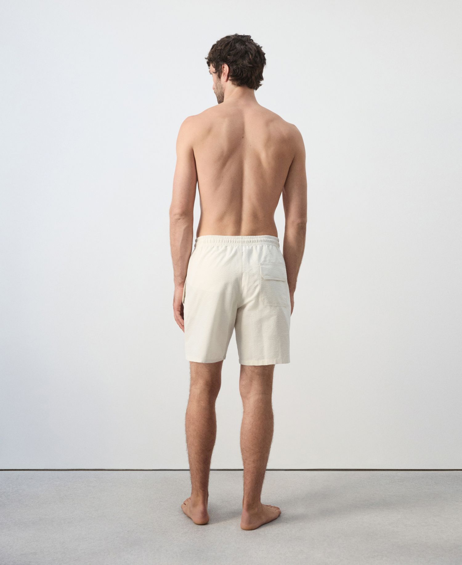 Men's Seersucker Striped Swimsuit