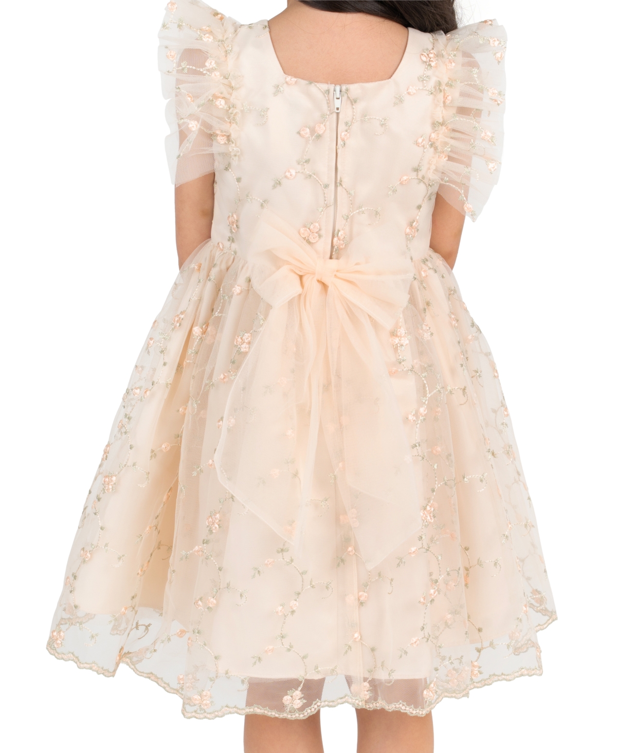 Rare Editions Girls' 2T-6X Embroidered Mesh Flutter Sleeve Dress