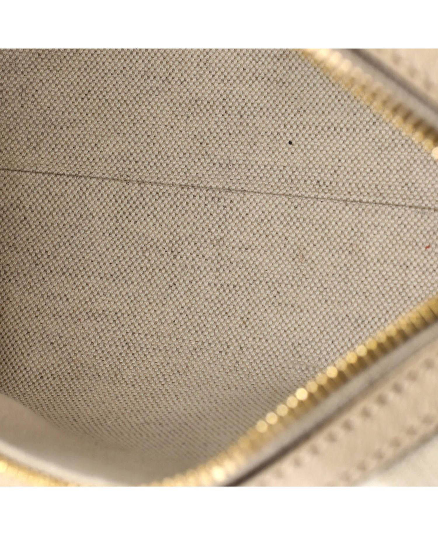 Mini Ophidia Convertible Boston Bag GG Coated Canvas