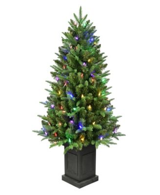 40" Pre-Lit Fraser Fir Potted Tree