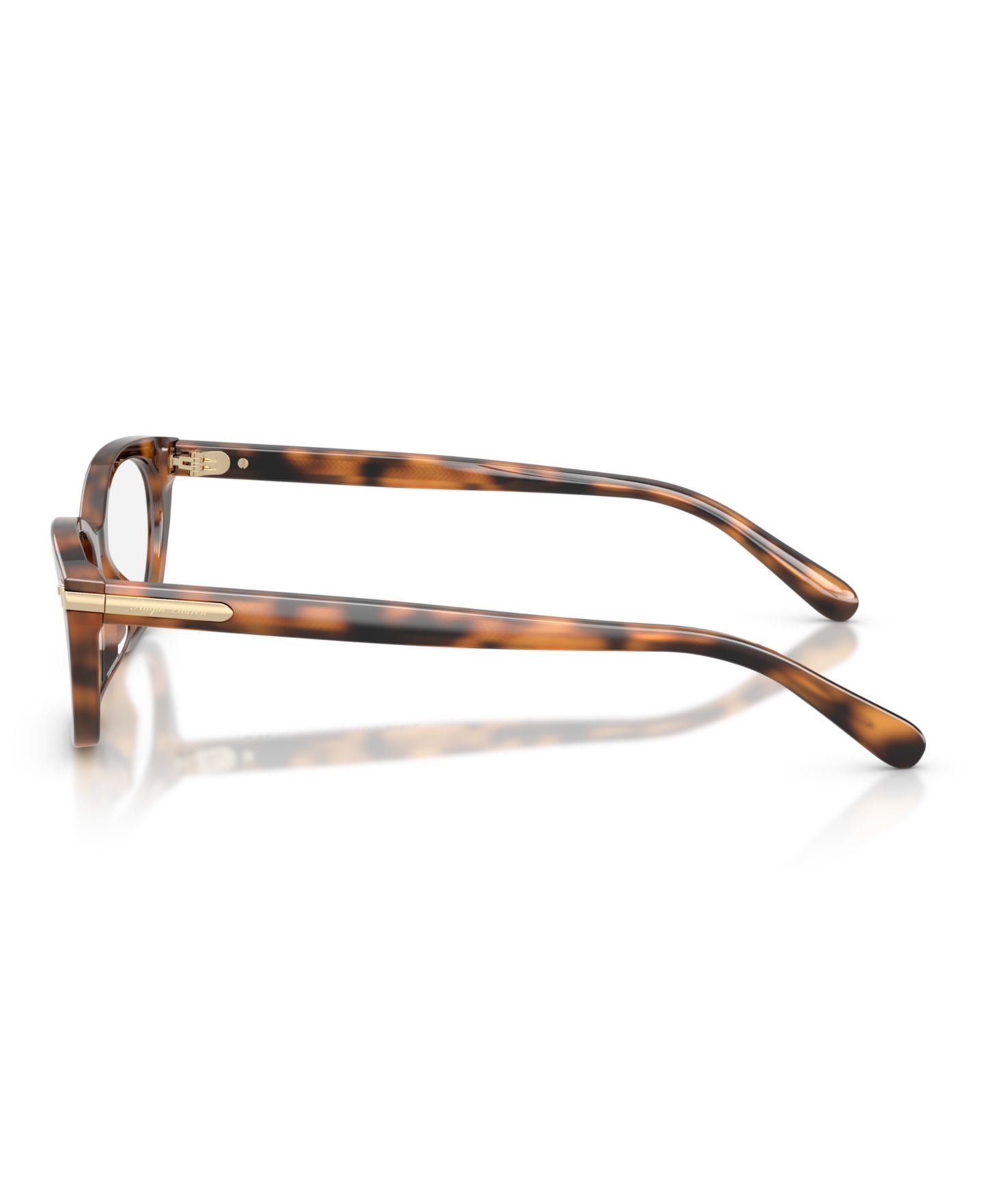 Женские очки Ralph Lauren Eyeglasses, RL6268U, цвет: Гавана — фото 3