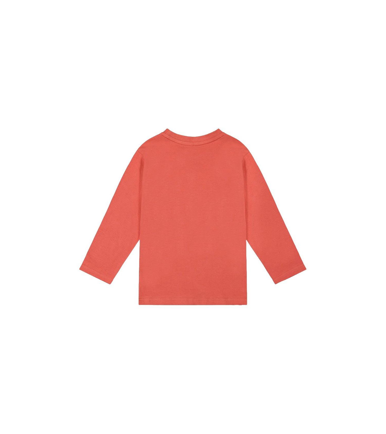Baby Boys (12-24M) Long Sleeve Cotton T-Shirt