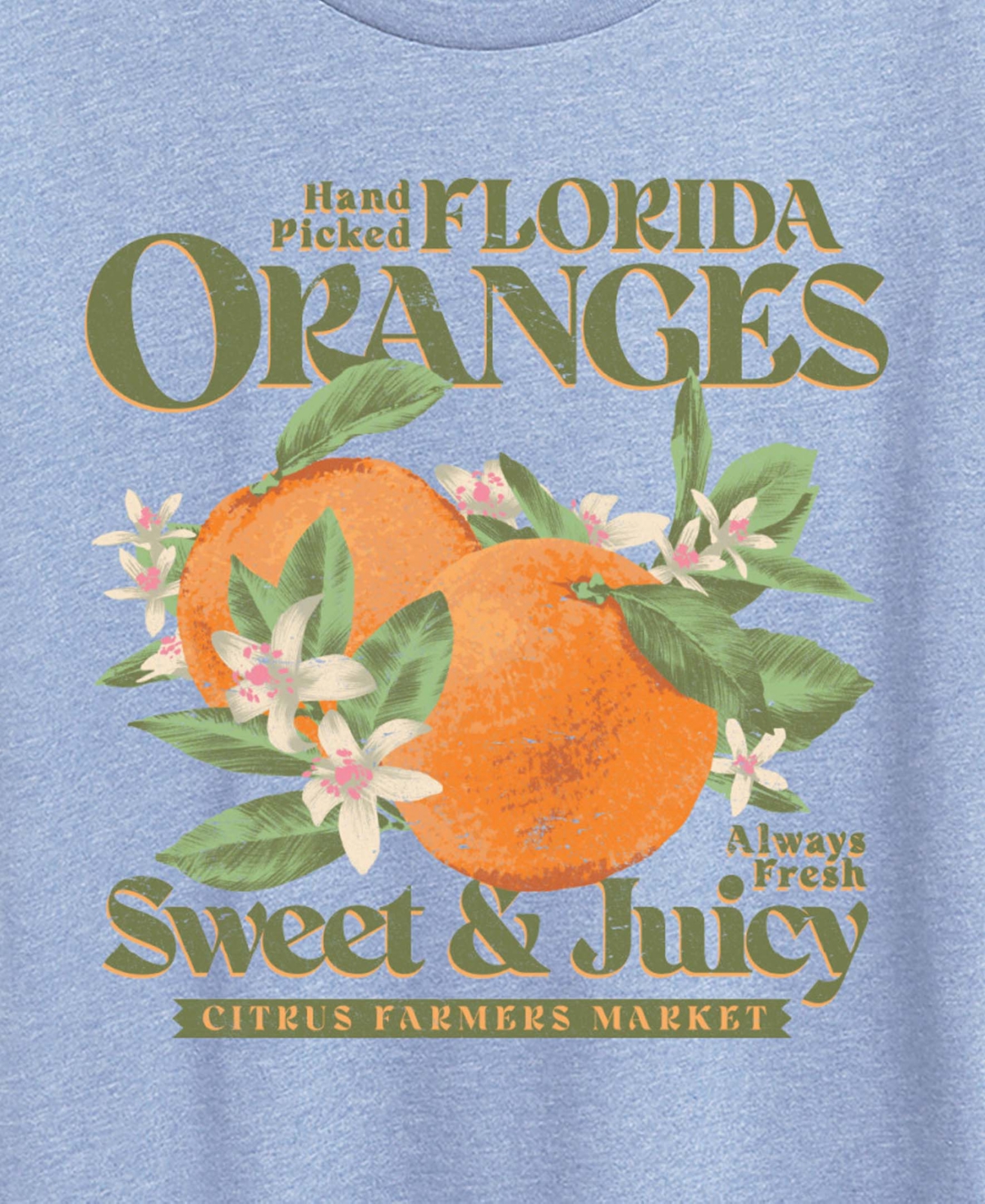 Hybrid Apparel Plus Short-Sleeve Graphic Florida Oranges Tee