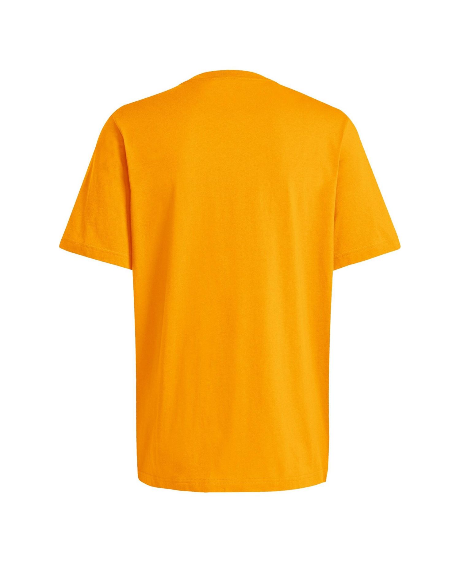 Men's Tennessee Orange Tennessee Volunteers Wordmark T-Shirt