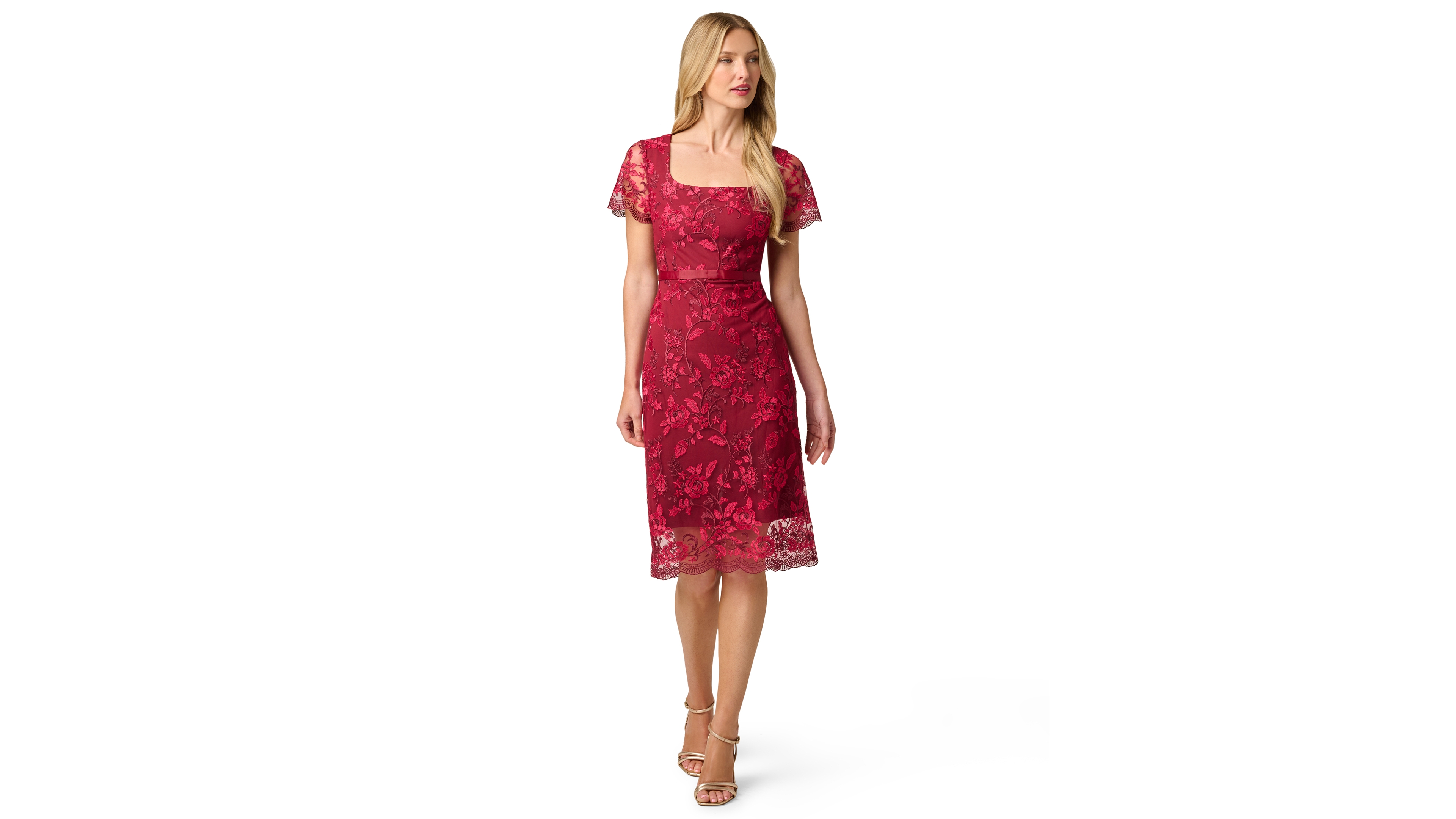 Adrianna Papell Women's Rose Floral Embroidered Sheath Dress