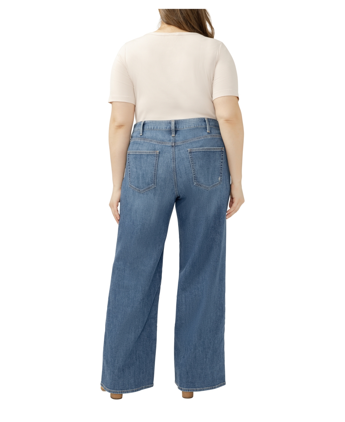 Silver Jeans Co. Plus Suki Mid Rise Wide-Leg Curvy Fit