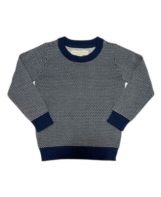 Toddler Boys (2T-4T) Organic Fine Gauge Crew Neck Sweater