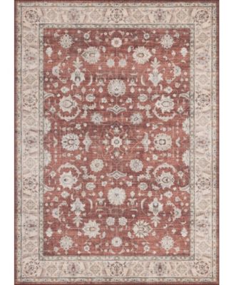 Homewell Machine Washable HAM4008 9'10"x13'11" Area Rug
