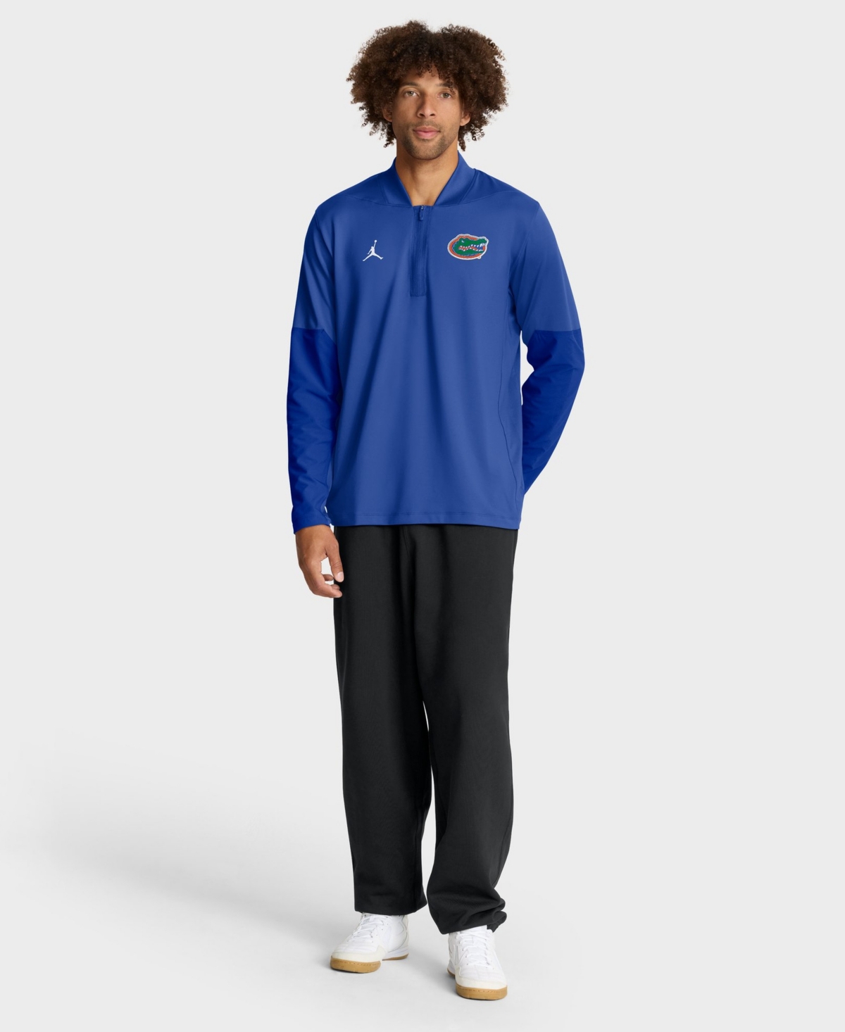 Jordan Men's Royal Florida Gators Sideline Dri-fit Half-zip Pullover Sweatshirt In Blue
