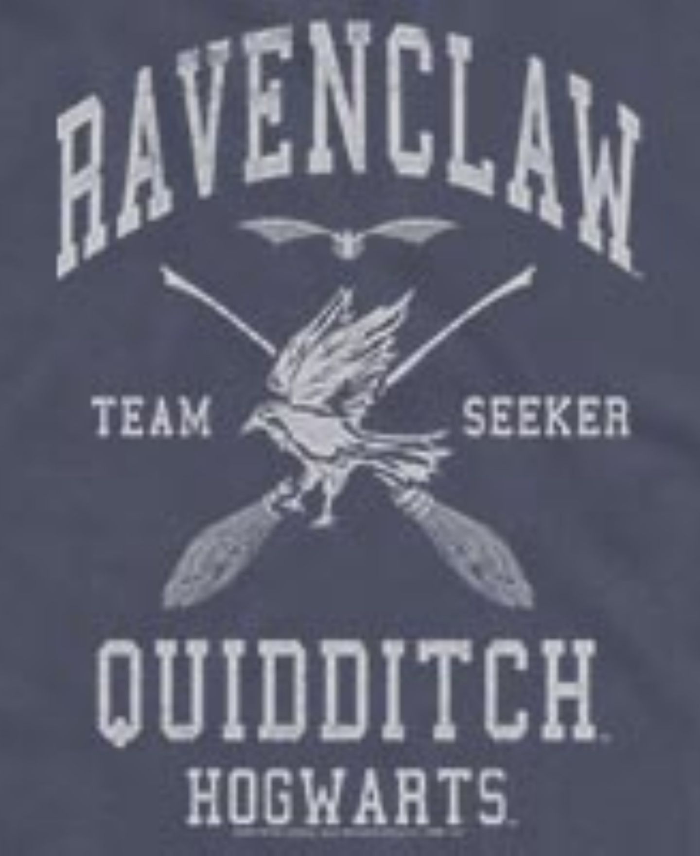 Мужской топ Fifth Sun Harry Potter Ravenclaw Quidditch Seeker Hogwarts Graphic, цвет: Тёмно-синий — фото 3