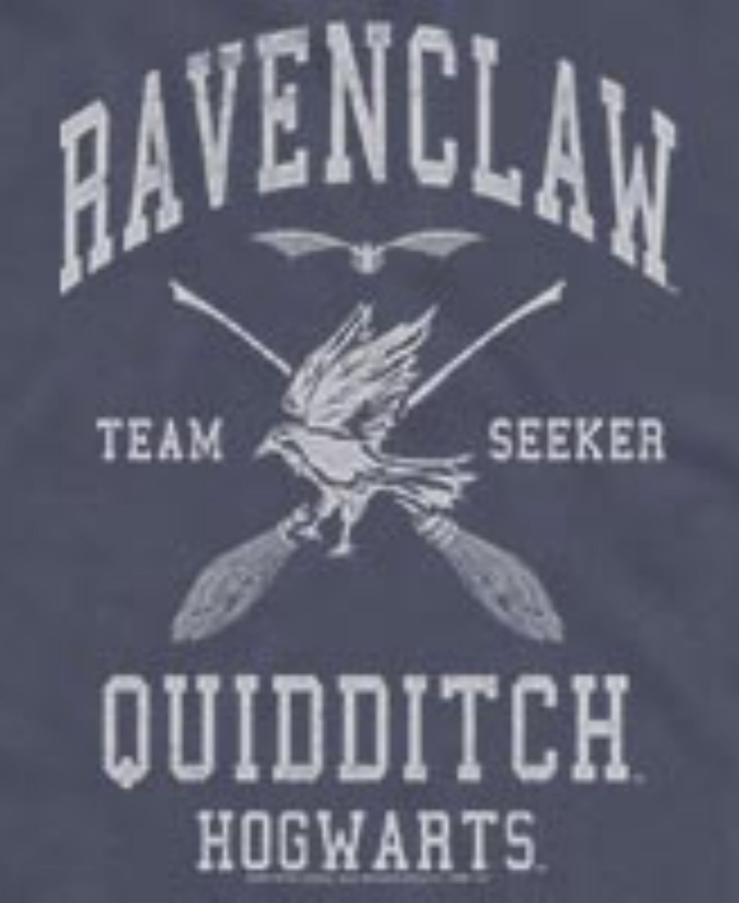Men's Harry Potter Ravenclaw Quidditch Seeker Hogwarts Graphic Tank Top
