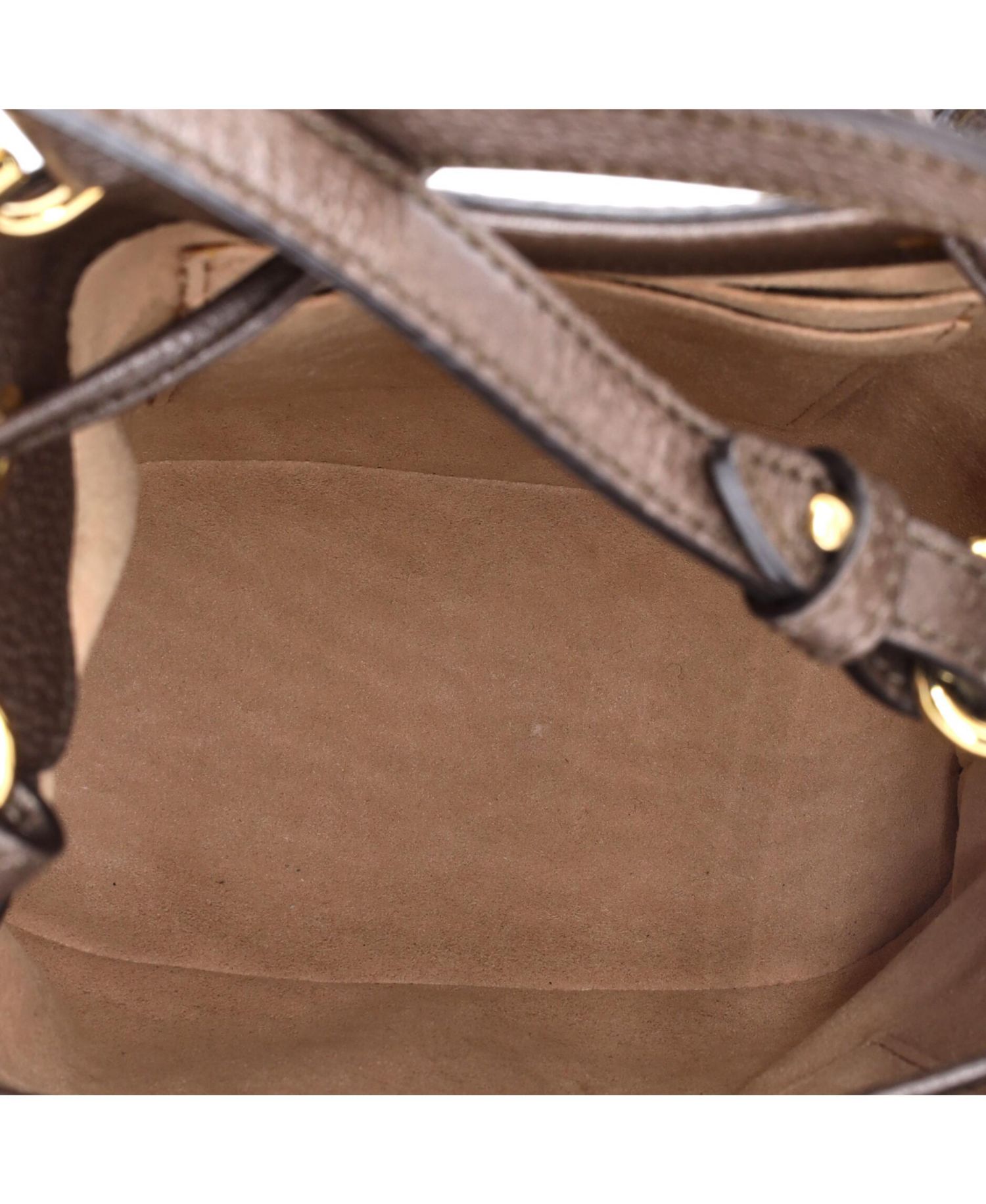 Small Ophidia Bucket Bag GG Coated Canvas